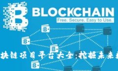 2023年国内区块链项目平台大全：挖掘未来数字经