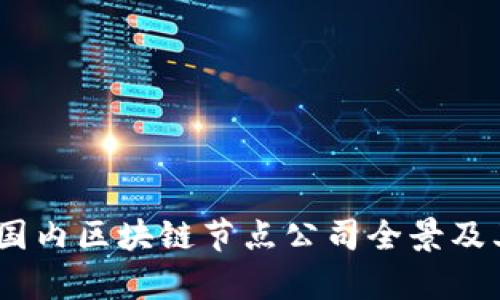 深度解析：国内区块链节点公司全景及其核心优势