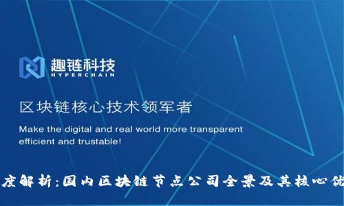 深度解析：国内区块链节点公司全景及其核心优势