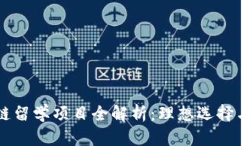 北美区块链留学项目全解析：理想选择与未来前景