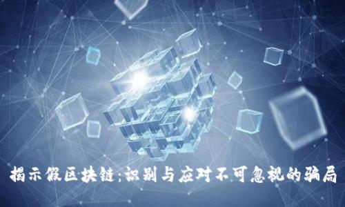 揭示假区块链：识别与应对不可忽视的骗局