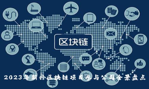 2023年新兴区块链项目参与公司全景盘点