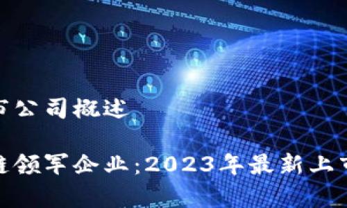 北京区块链上市公司概述

探索北京区块链领军企业：2023年最新上市公司全景观察