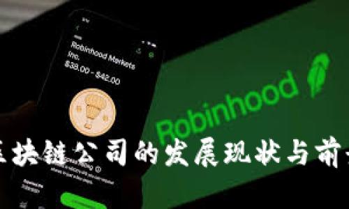 赣州区块链公司的发展现状与前景分析