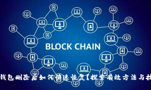 TP钱包删除后如何快速恢复？探索有效方法与技巧