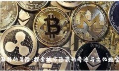 独特的冒险：探索城市隐藏的奇迹与文化瑰宝