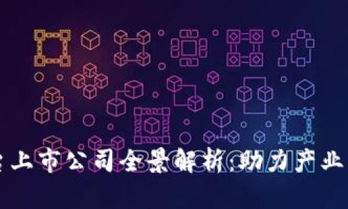 国内区块链平台上市公司全景解析：助力产业发展的先锋力量
