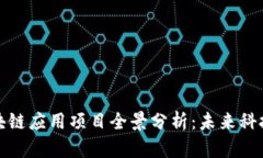 广州区块链应用项目全景分析：未来科技的先锋