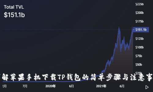 详解苹果手机下载TP钱包的简单步骤与注意事项