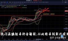 2023年国内热门区块链币种全解析：从比特币到新