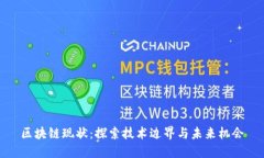 区块链现状：探索技术边界与未来机会