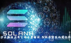 长沙区块链应用公司全景解析：创新与实践的前