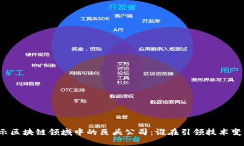 揭示区块链领域中的巨头公司：谁在引领技术变革？