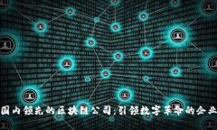 探索国内领先的区块链公司：引领数字革命的企