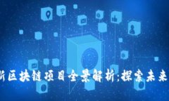2023年美国最新区块链项目全景解析：探索未来金