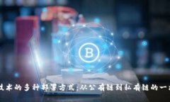 区块链技术的多种部署方式：从公有链到私有链