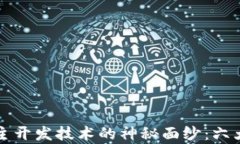 揭开区块链自主开发技术的神秘面纱：六大关键
